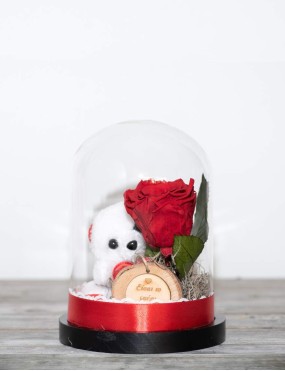 FOREVER RED ROSE WITH TEDDY BEAR AND WOODEN CARD (MEDIUM)
