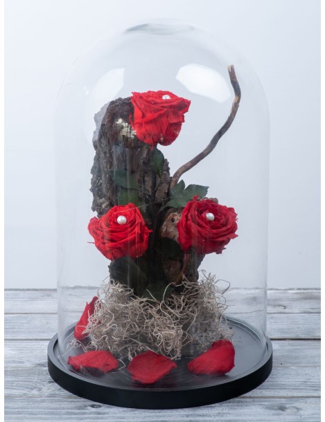 RED FOREDER ROSES- TRIPLE